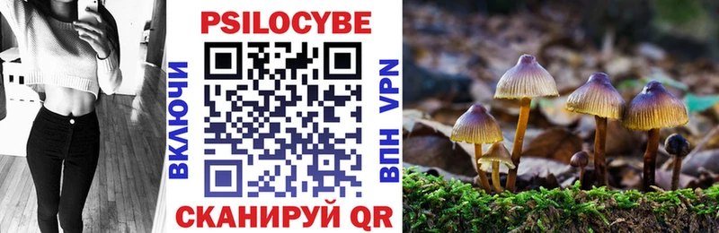 где купить наркотик Магадан Псилоцибиновые грибы прущие грибы